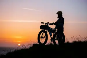 Hoe moet je een fatbike opladen?