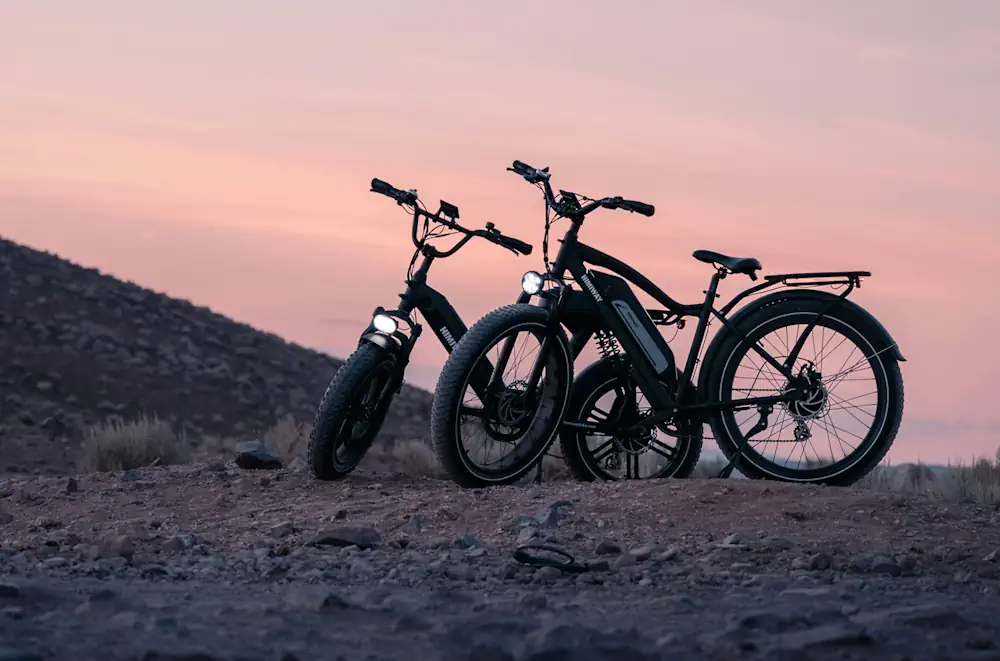 fatbike vs ebike