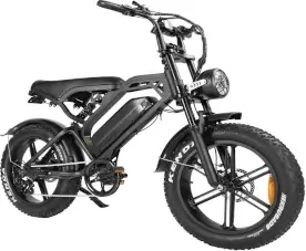 Kick & move v20 betaalbare fatbike