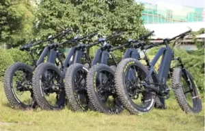 Welk merk fatbike is het beste?